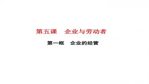 高一政治人教版必修一课件：第五课 第一框 企业的经营