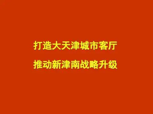 城市综合体规划策划案例 共145页
