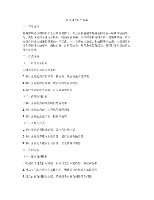 审计自查自纠方案