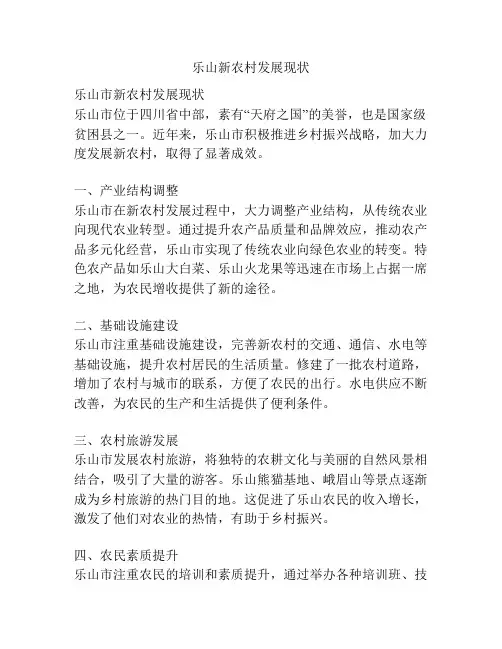 乐山新农村发展现状