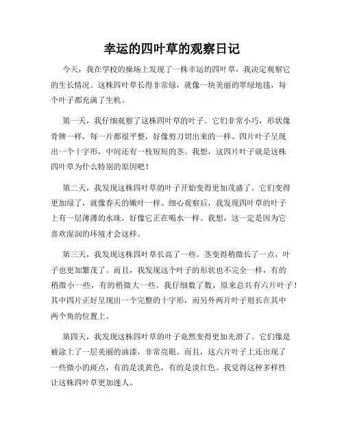 小学三年级作文幸运的四叶草的观察日记