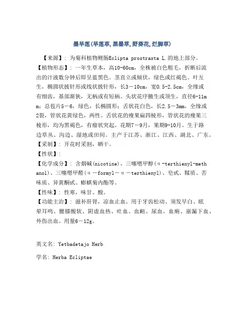 墨旱莲(旱莲草,黑墨草,野葵花,烂脚草)