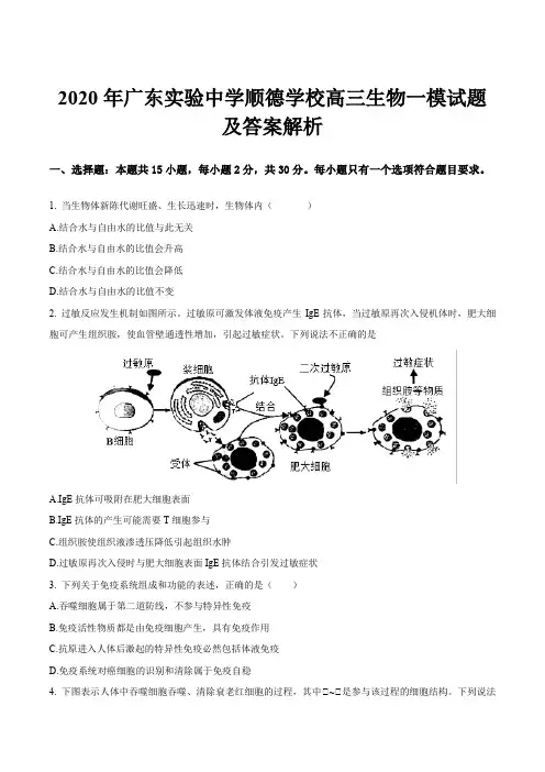 2020年广东实验中学顺德学校高三生物一模试题及答案解析