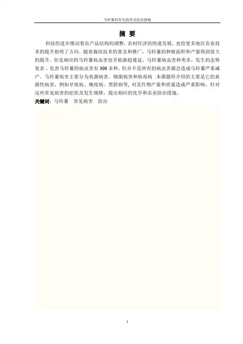 马铃薯的常见病害及防治措施2