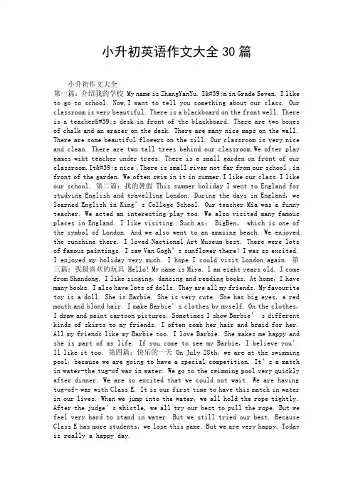 小升初英语作文大全30篇.doc