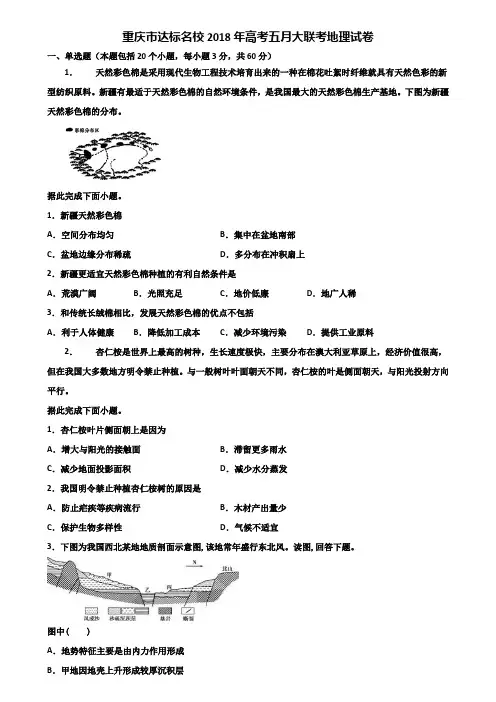 重庆市达标名校2018年高考五月大联考地理试卷含解析