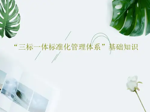 “三标一体标准化管理体系”基础知识共36页文档
