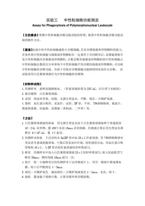 实验  中性粒细胞功能测定