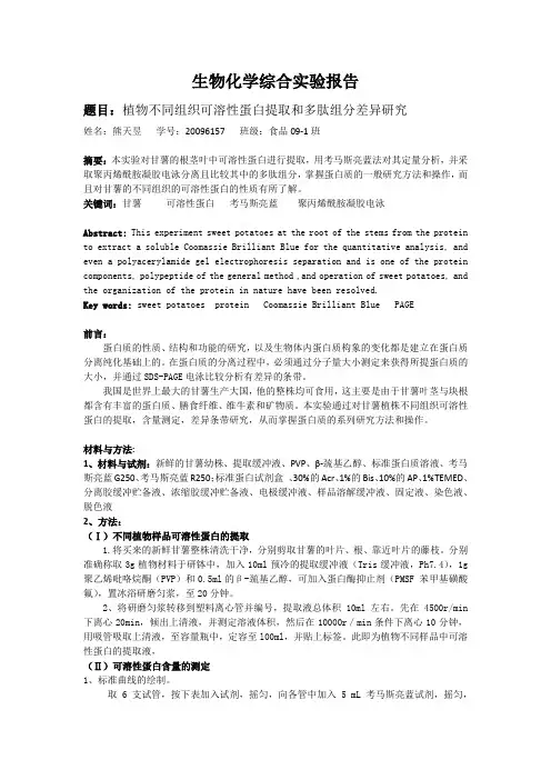 生化综合实验报告(合肥工业大学)