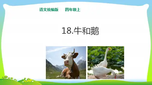 四年级上册语文课件 - 18牛和鹅 (共20张PPT) 人教统编版