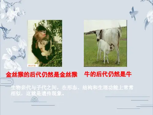 人教版(2019新教材)生物必修2教学课件：第3章第1节 DNA是主要的遗传物质(共36张PPT)