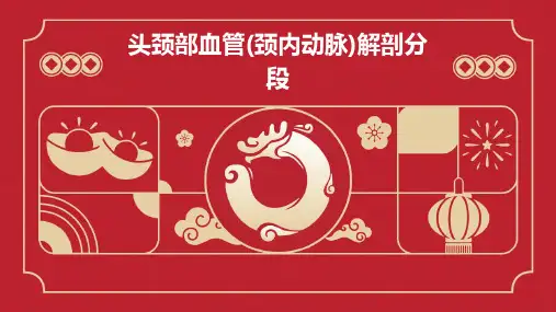 头颈部血管(颈内动脉)解剖分段PPT课件