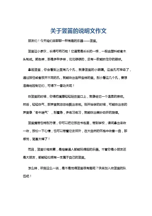 关于竖笛的说明文作文