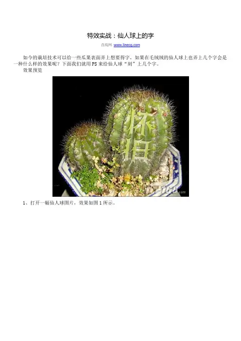 特效实战：仙人球上的字