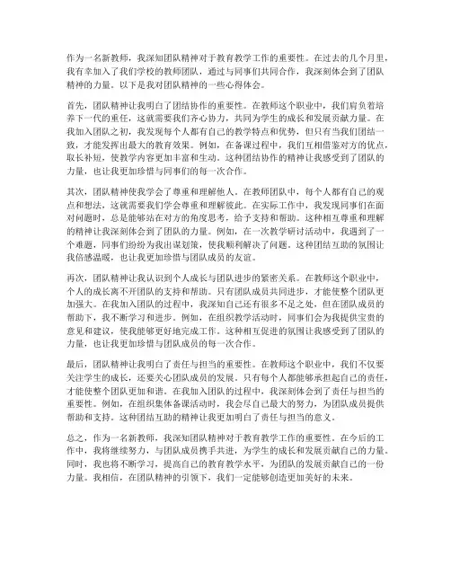 新教师团队精神心得体会