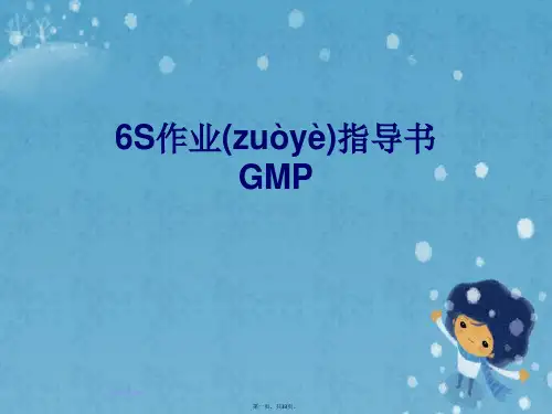 6S作业指导书GMP