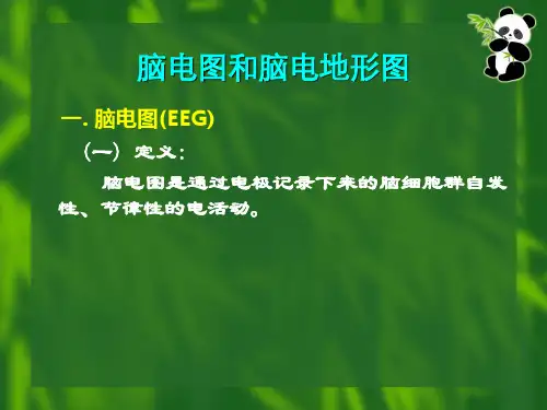 脑电图检查简介