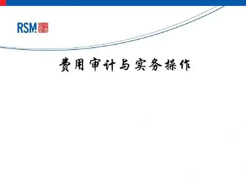 费用审计与实务操作(PPT 45张)