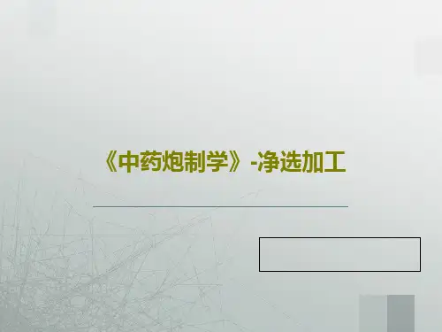 《中药炮制学》-净选加工33页PPT
