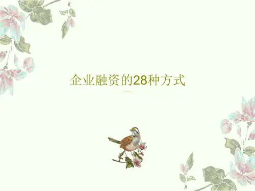 企业融资的28种方式共89页