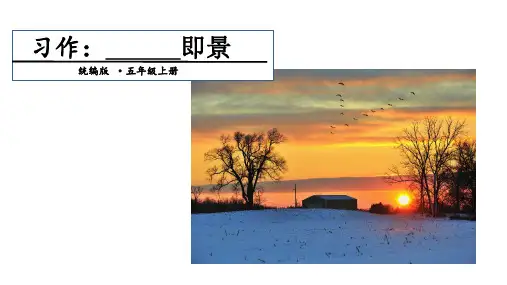 五年级语文(上)-第七单元 习作： 即景 人教部编-优质课件