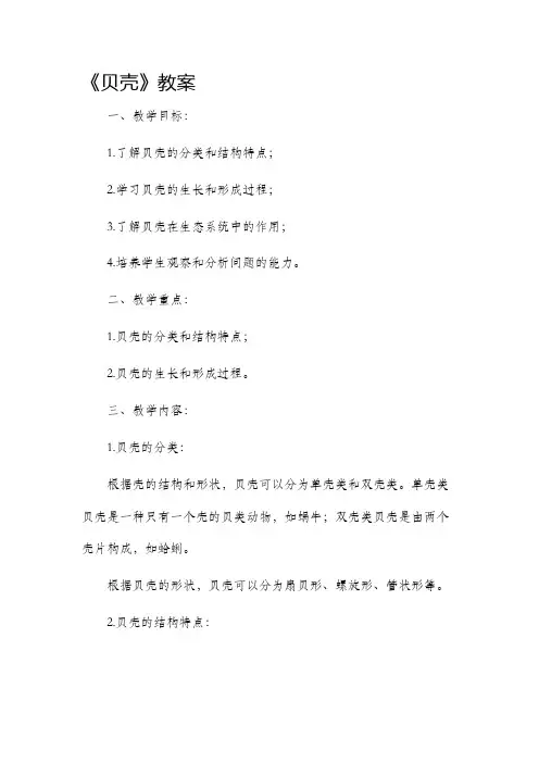 《贝壳》市公开课获奖教案省名师优质课赛课一等奖教案
