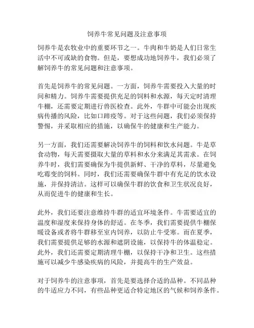 饲养牛常见问题及注意事项
