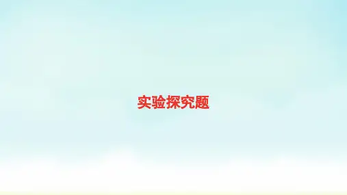 中考化学复习专题：实验探究题