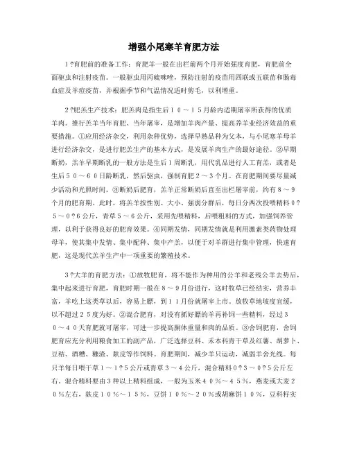 增强小尾寒羊育肥方法