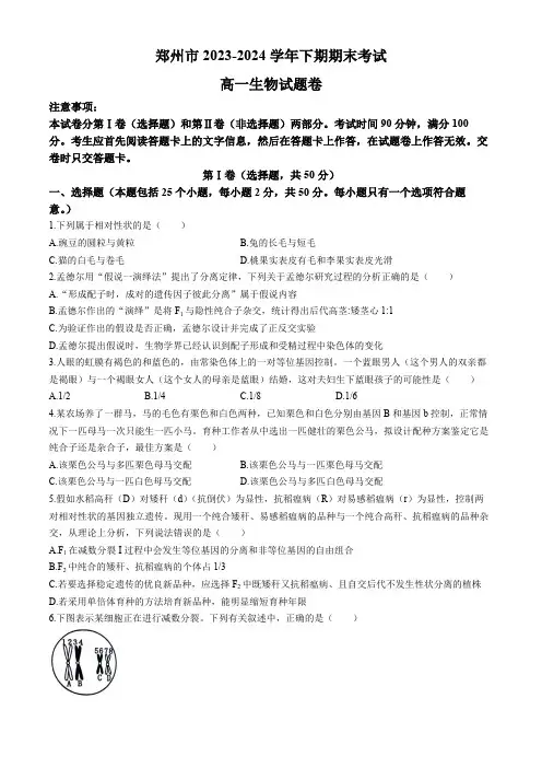河南省郑州市2023-2024学年高一下学期期末考试生物试题(含答案)