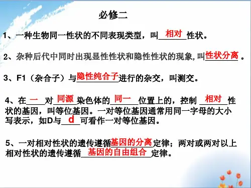 高中生物必修二会考知识点详细总结优秀课件PPT