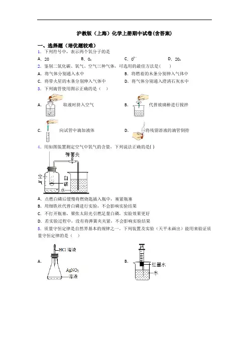 沪教版(上海)初三化学上册期中试卷(含答案)
