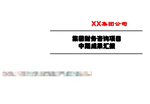 知名XX集团公司财务咨询项目(J精品案例分享)