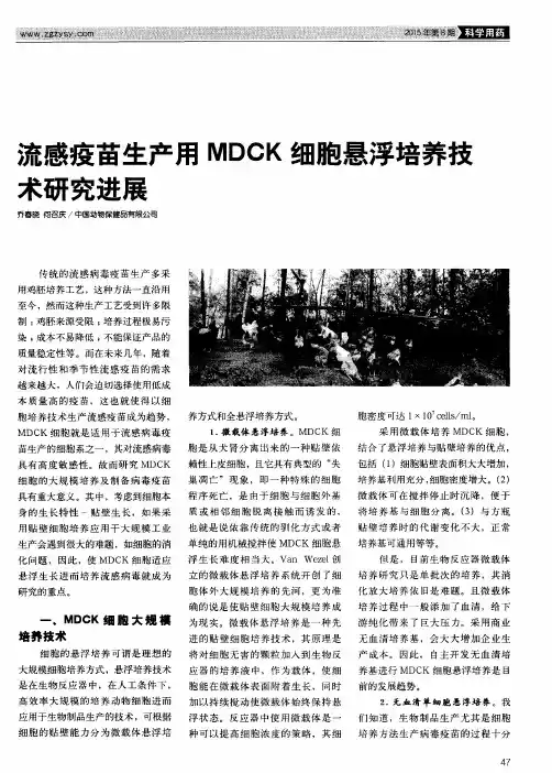 流感疫苗生产用MDCK细胞悬浮培养技术研究进展