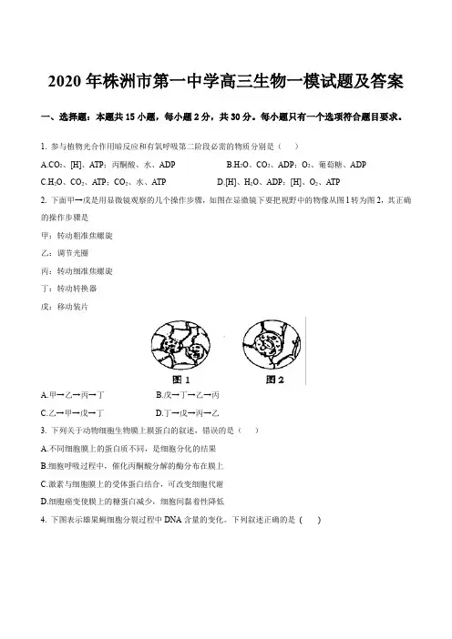 2020年株洲市第一中学高三生物一模试题及答案