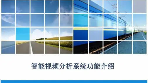 智能视频分析系统功能介绍_2022年学习资料