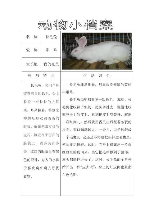 动物小档案1