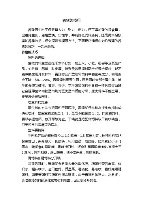 养猪的技巧