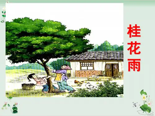 五年级上册语文课件《桂花雨》人教部编版7