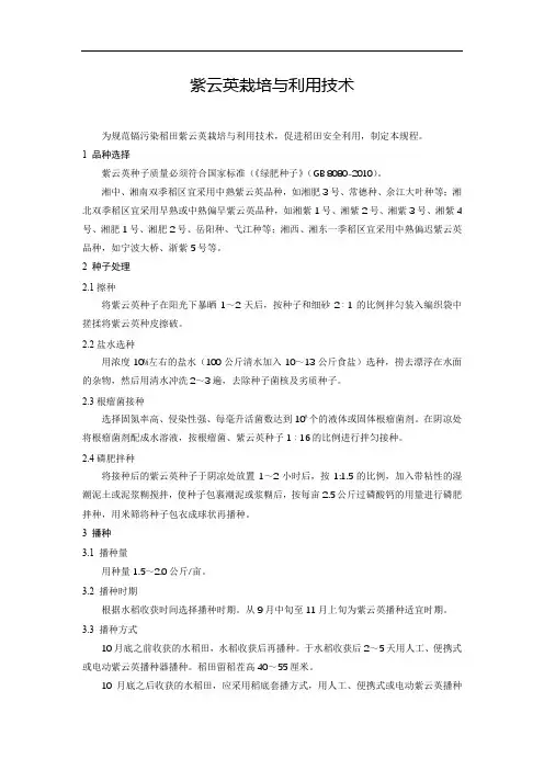 紫云英栽培与利用技术