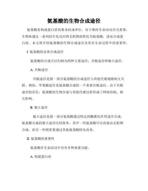 氨基酸的生物合成途径