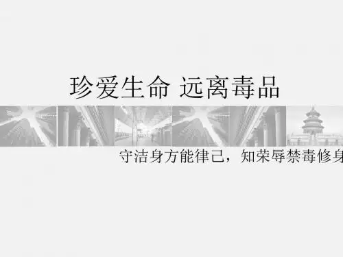 珍爱生命 远离毒品