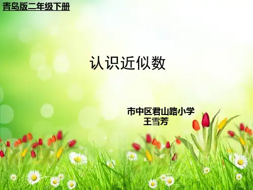 3 2 认识近似数