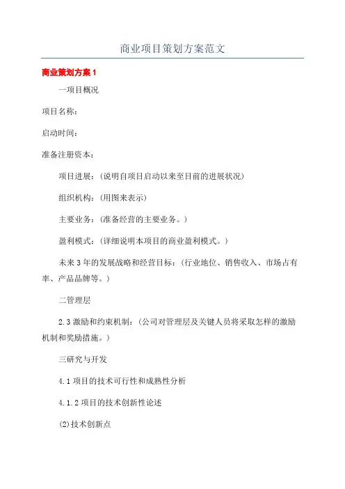 商业项目策划方案范文