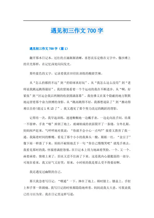遇见初三作文700字