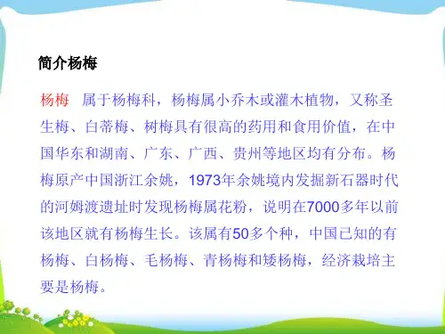 我爱故乡的杨梅PPT完美版课件