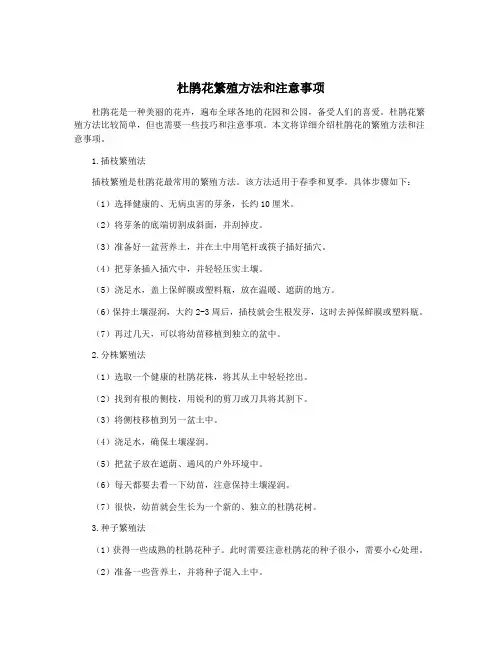 杜鹃花繁殖方法和注意事项