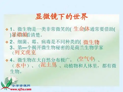 六年级上册《水滴里的生物》PPT