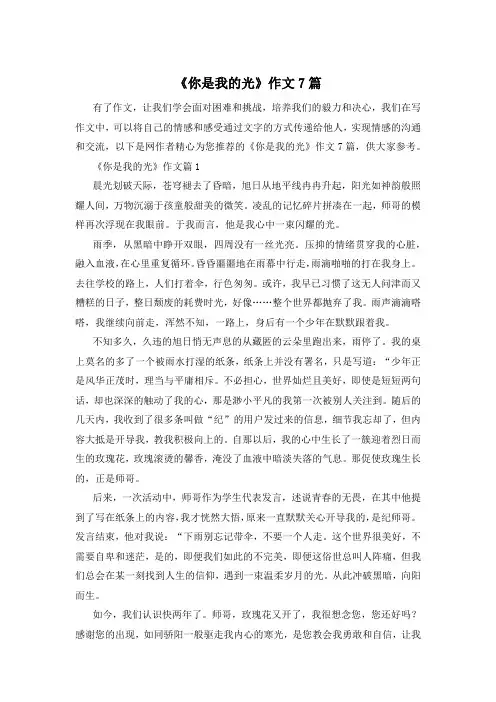 《你是我的光》作文7篇