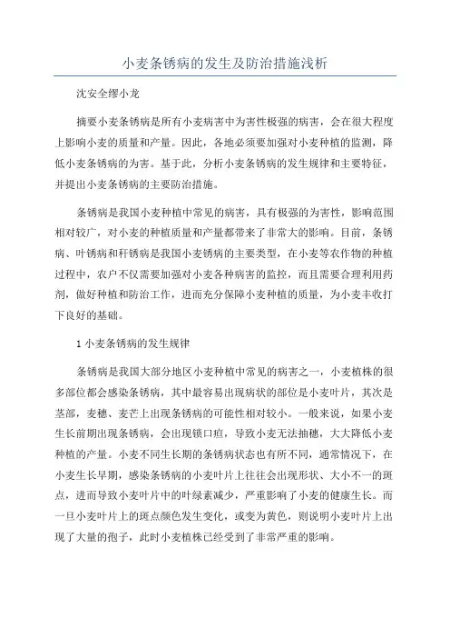 小麦条锈病的发生及防治措施浅析